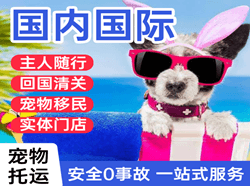 白城航空运输国际宠物托运 【国